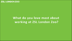 ZSL question card green outline_250.png