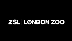 ZSL white on black title_250.png