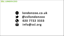ZSL END black on white outlined1_250.png